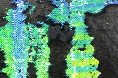 Lizard-Vision_detail_02