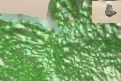 Screen Shot 2018-11-23 at 12.40.22
