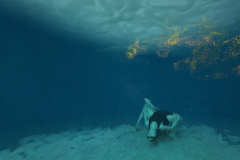 Screen-Shot-2020-01-17-at-11.45.45