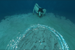 Screen-Shot-2020-01-17-at-11.46.52