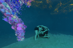 Screen-Shot-2020-01-17-at-11.50.06