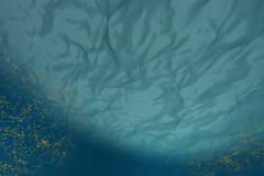 Screen-Shot-2020-01-17-at-11.52.01